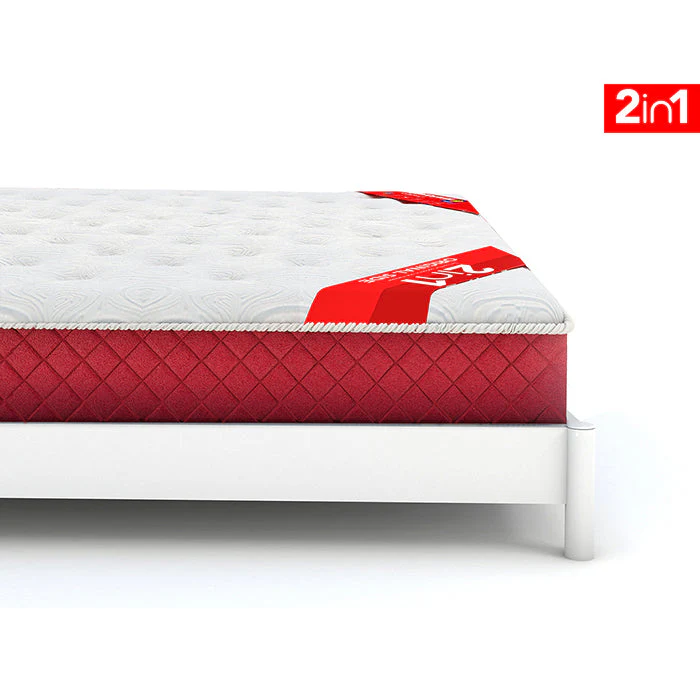 MoltySleep Executive - Image 2