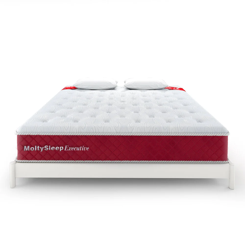 MoltySleep Executive